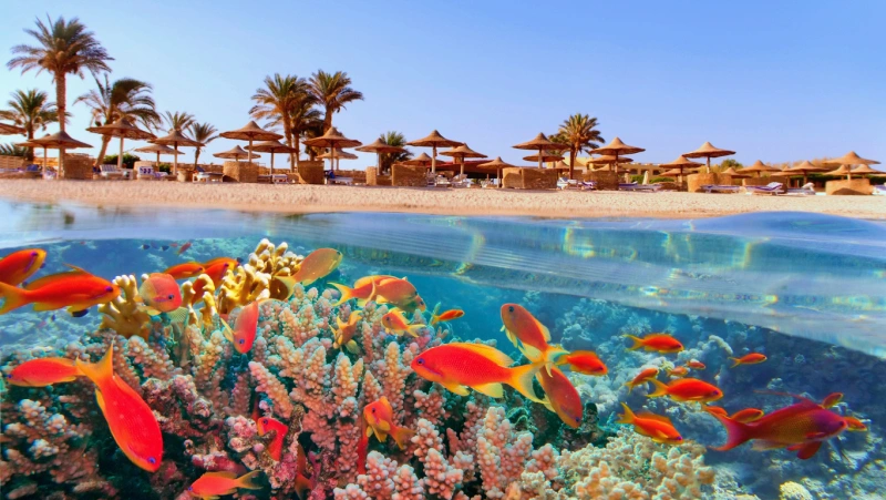Mosquée El Mina dans la vieille ville d'El Dahar à Hurghada