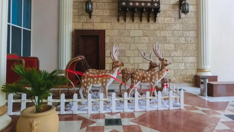 Coptic Egypt Celebrations 