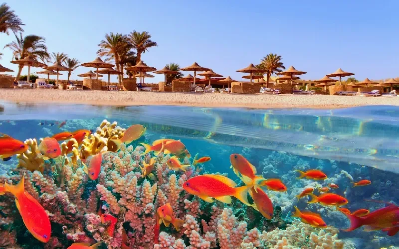 Famille profitant du parc aquatique à Hurghada