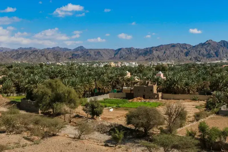 Bait Al Safah