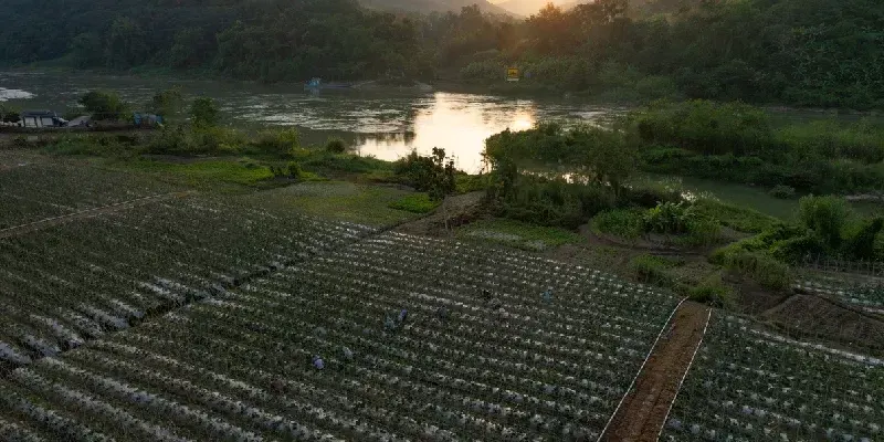 Vista aérea de tierras agrícolas a lo largo del río Mekong al atardecer.