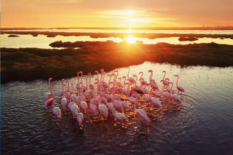 izmir turchia , Izmir