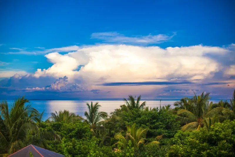 Tropical Philippine coastline with palm trees and a calm sea at sunset