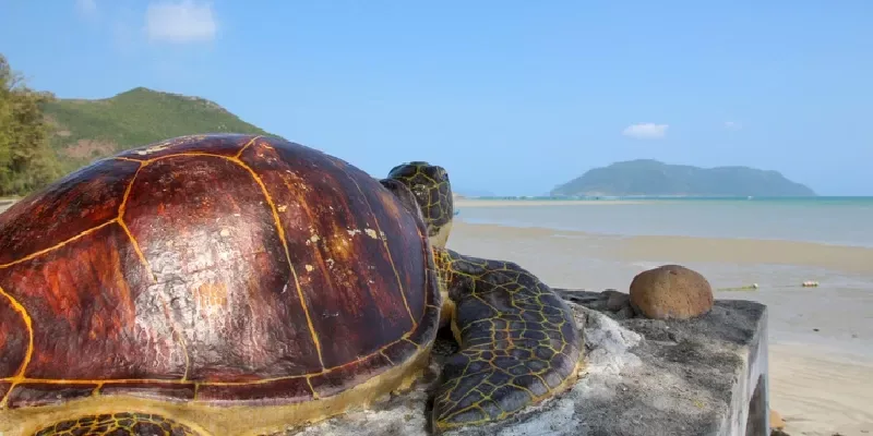 Un viaje de norte a sur de Vietnam en 3 semanas.
