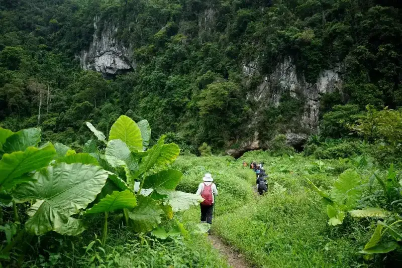 Visita a la cueva de Hang En. El grupo camina hacia la entrada de la cueva.