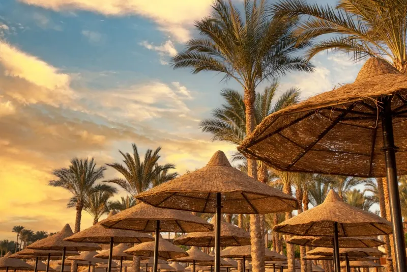 Client in Egypt, Egypt Weather & Climate