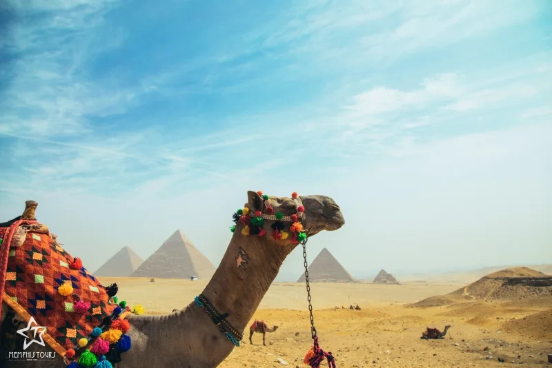 visa egypte en ligne