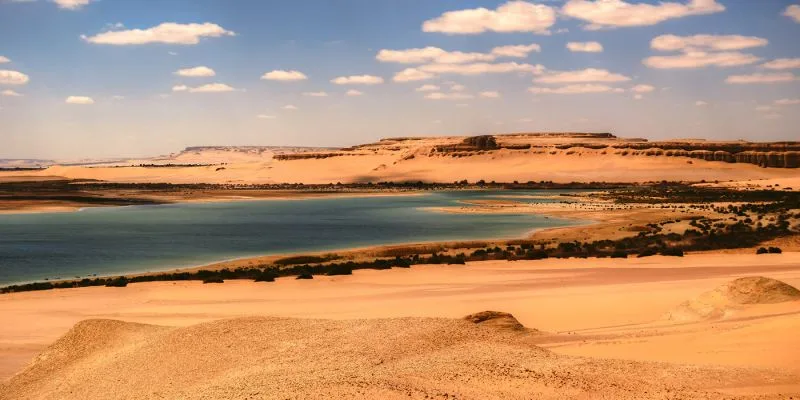 Que Faire En Egypte