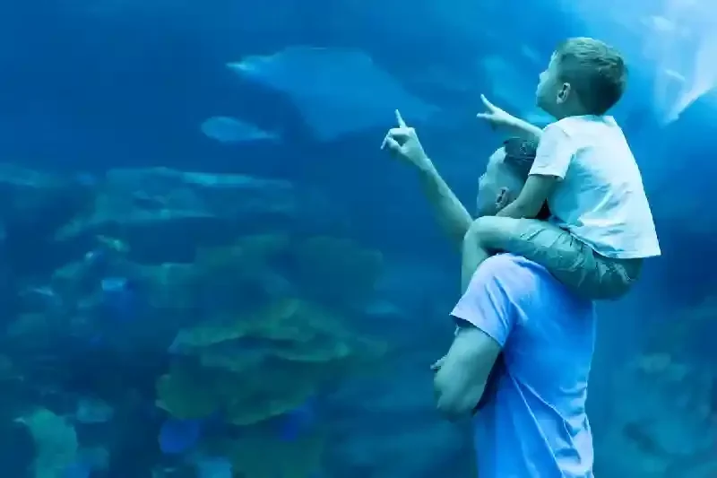 dubai, quanto costa andare a dubai