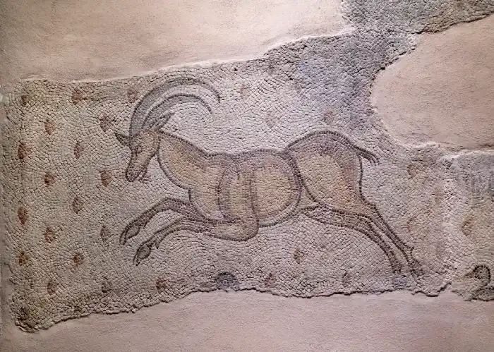 Roman mosaics from Zeugma