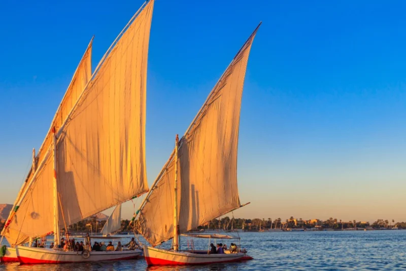 Felucca Experience