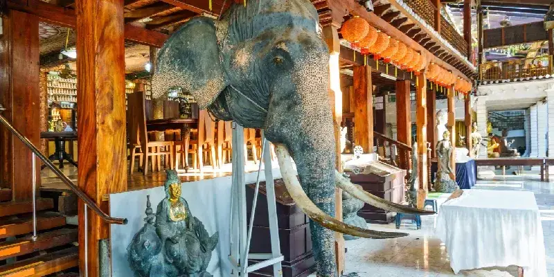 Cabeza de elefante en el Templo Budista Gangaramaya, Colombo, Sri Lanka.