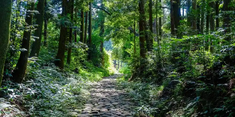 La Antica Strada Tōkaidō