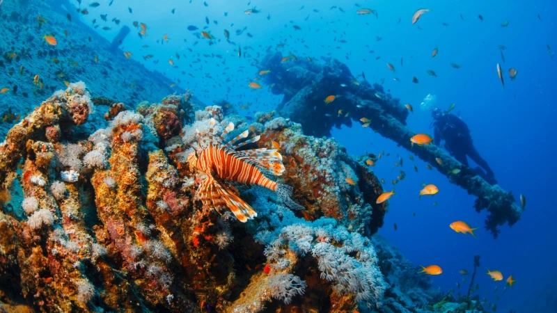 Egypt National Parks