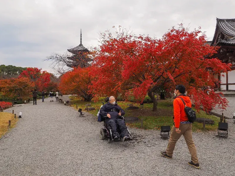 Templo Toji en Kioto: La Pagoda Más Alta de Japón