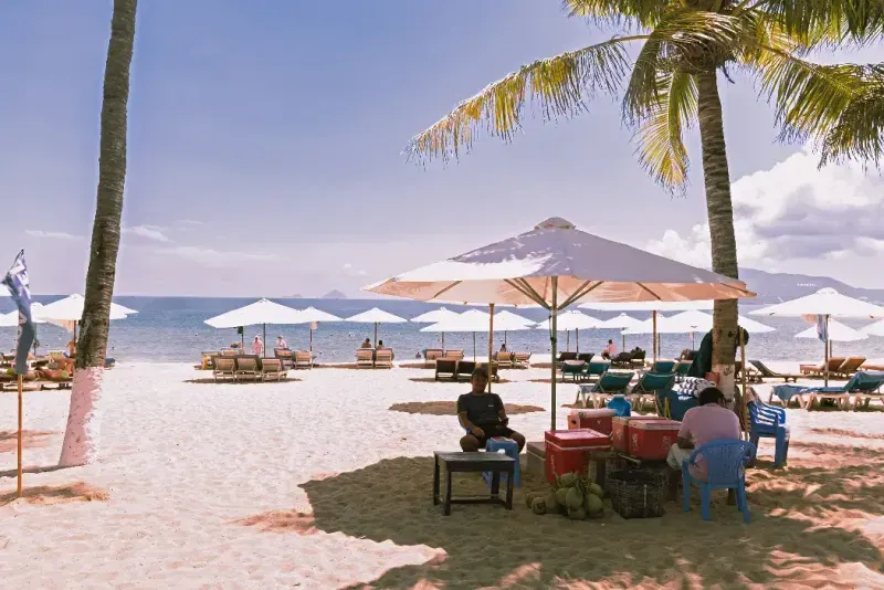 Vendedores de cocos se sientan a la sombra en la playa de Nha Trang, Vietnam.