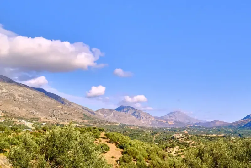 una-amplia-vista-de-una-ladera-en-creta-grecia-con-olivares-campos-en-terrazas-y-montanas-escarpadas-bajo-un-cielo-azul-despejado
