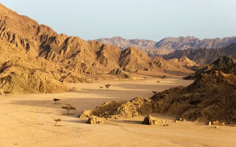 Sinai Desert and Mountains