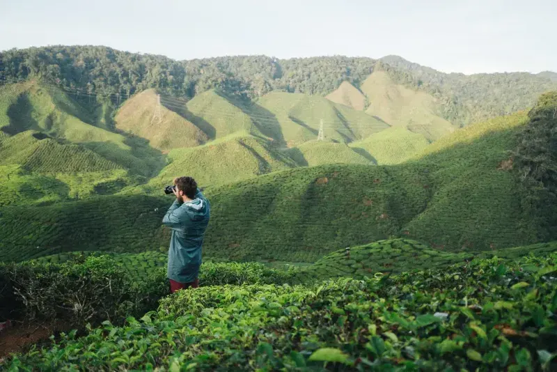 Joven caucásico tomando una foto de una vista panorámica de plantaciones de té.