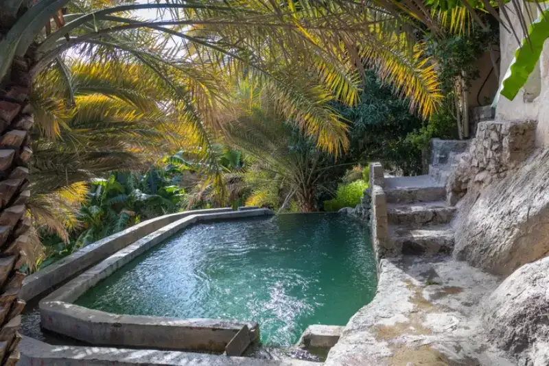 Nature Of Oman | Wildlife Of Oman | Desert Adventures Oman