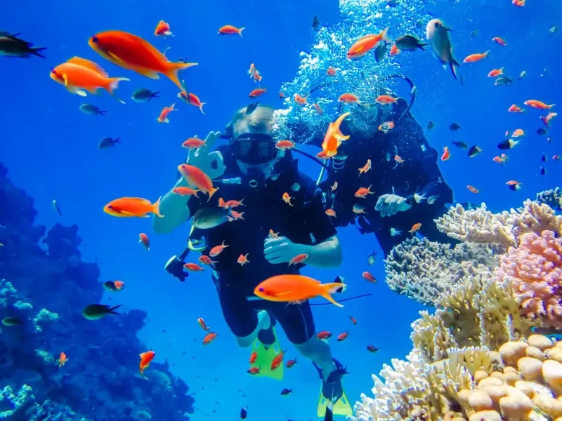 Mergulho nos recifes de coral do Mar Vermelho, Egito.