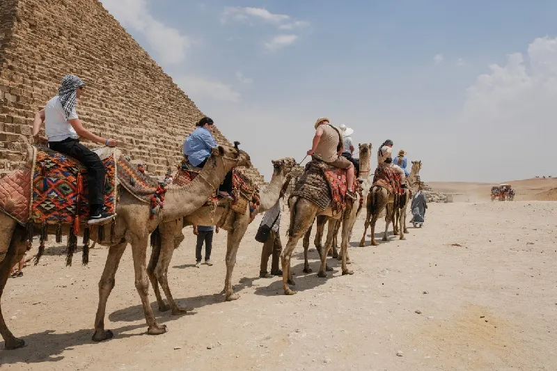 Una caravana de camellos para turistas en la zona de las pirámides de Guiza, en El Cairo.
