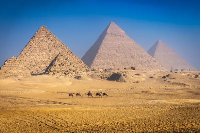 Die Große Pyramide von Gizeh mit Kamel, Ägypten