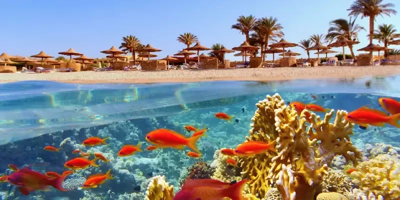 Que faire à Hurghada