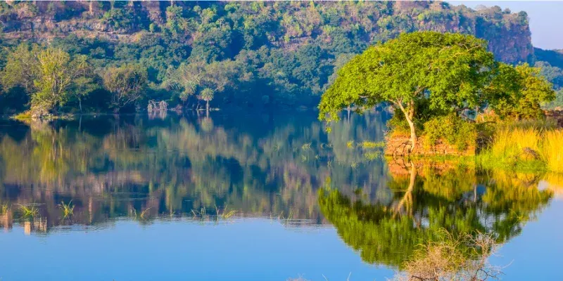 Mañana serena en el lago Padma Talao, Parque Nacional de Ranthambore.