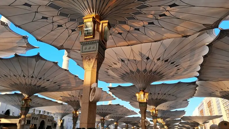 Things to See in Saudi Arabia | Saudi Arabia Tourist Attractions