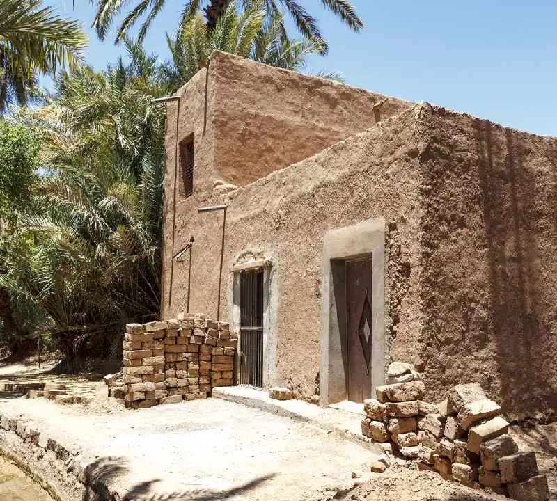 Oásis ao redor da vila de Zagora, Vale do Draa, Marrocos, África