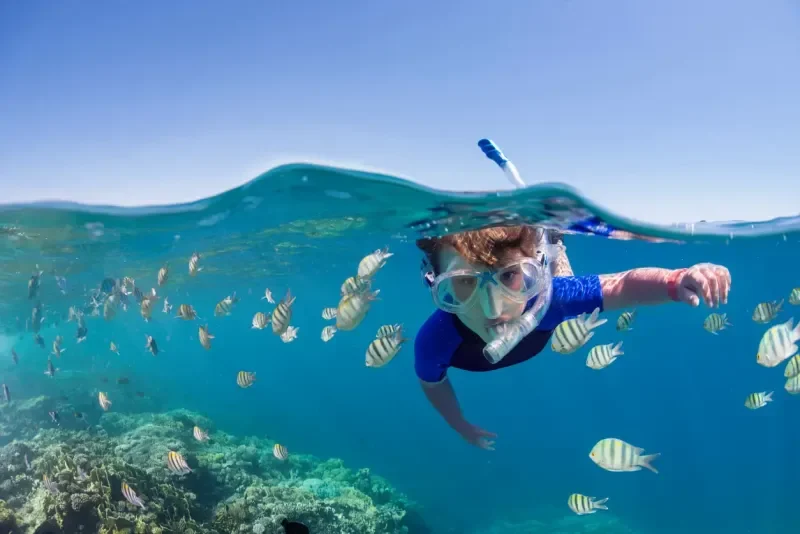 Criança fazendo snorkeling sobre recife tropical colorido.