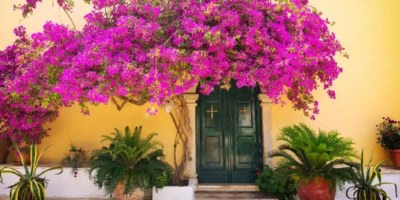 Hermosa calle griega en Corfú, Grecia.
