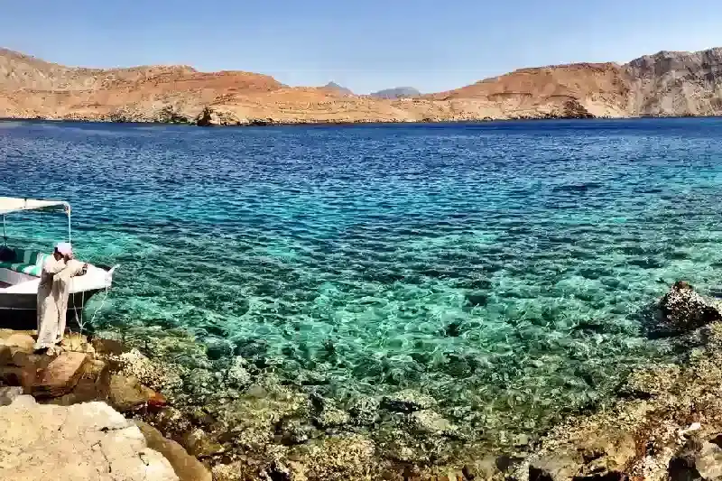 Oman Mare | Mare In Oman