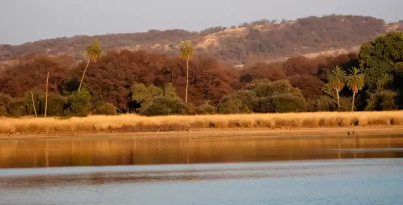 Lago Rajbagh, Parque Nacional de Ranthambore, Rajastán, India.