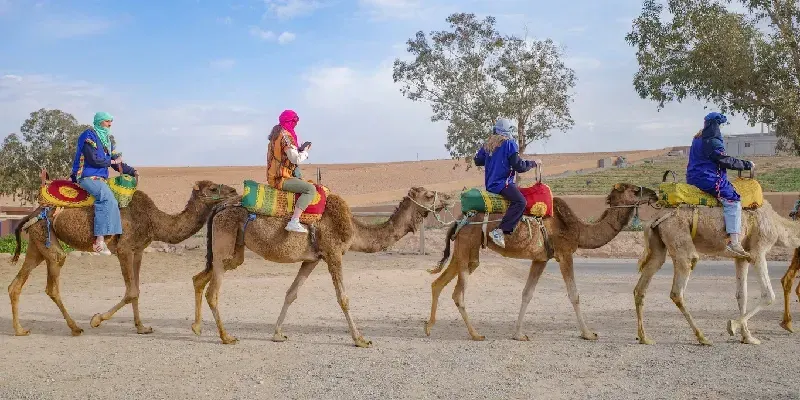 montar en camellos en el Desierto Agafay