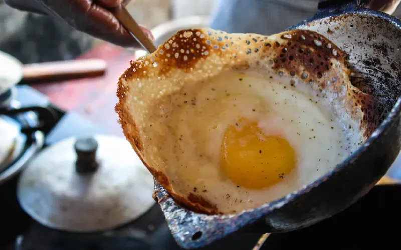  egg hopper