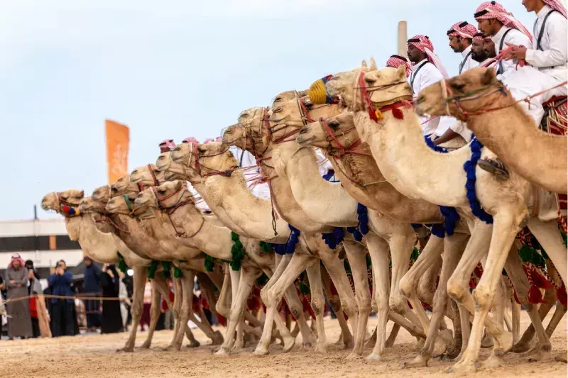 Cultura Árabe Verdadeira