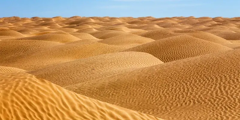 Campo de dunas, en el desierto del Sahara.