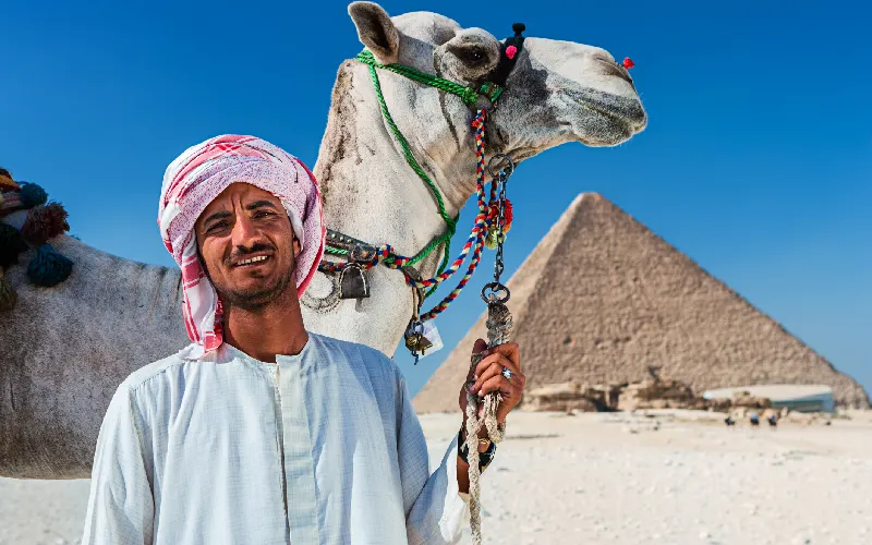 Bedouin with camel