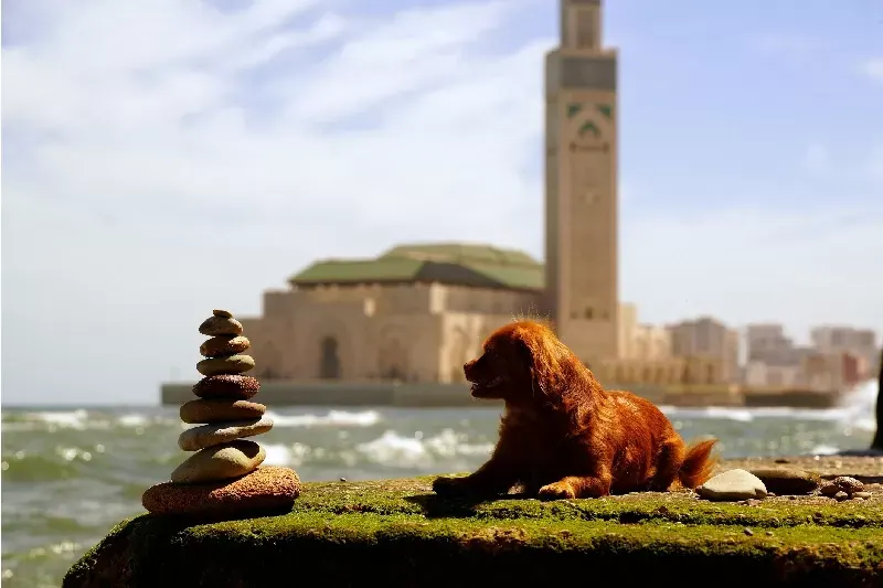 casablanca marocco, casablanca marocco