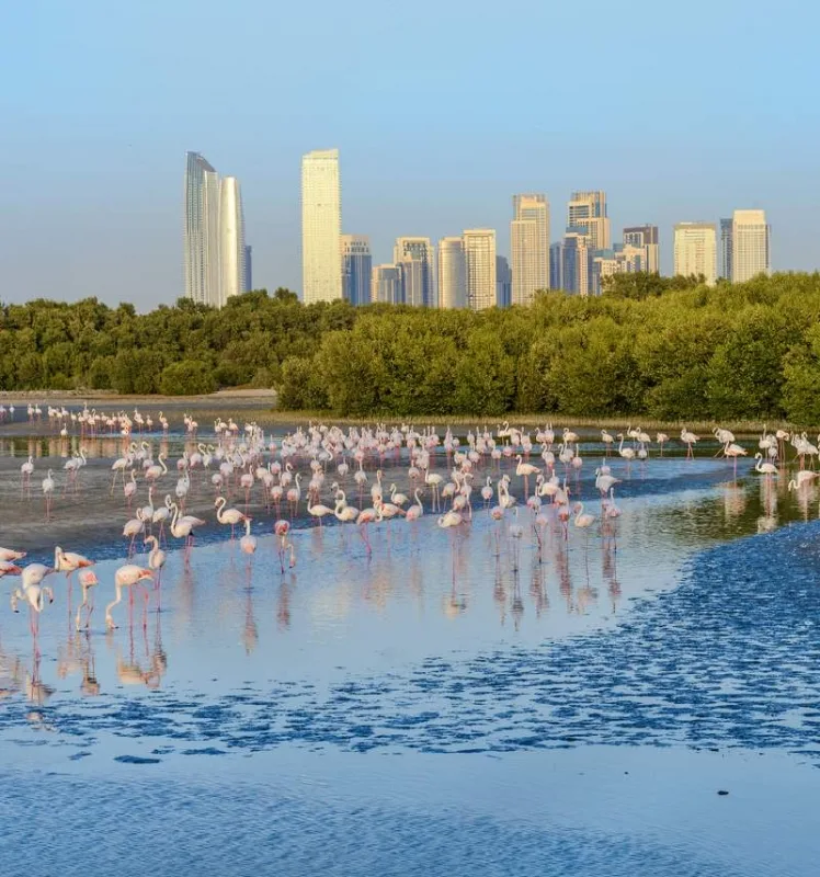 Santuário de Vida Selvagem Ras Al Khor