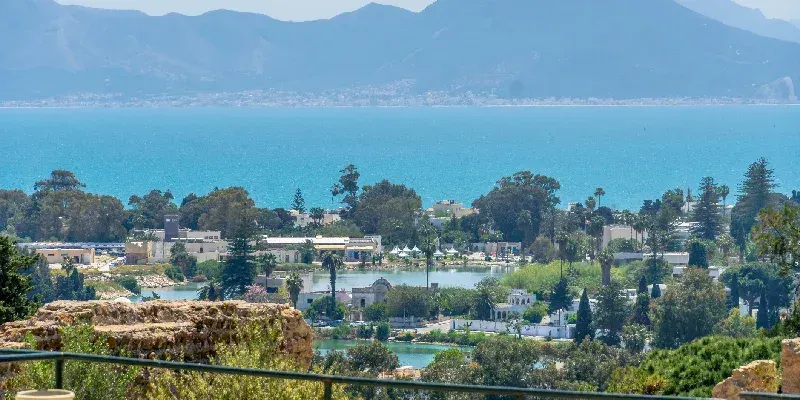 Jardines y villas de Cartago con vistas al Golfo de Túnez.