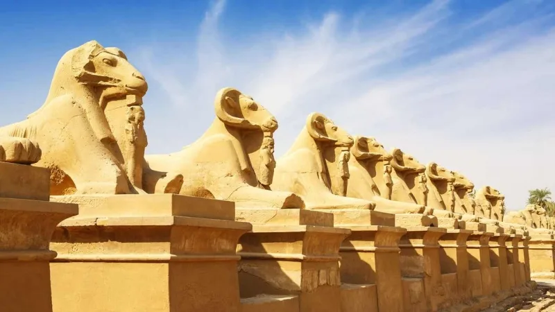 Safaga Port Shore Excursions