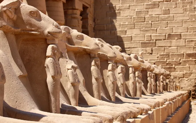 Ram Headed Sphinx