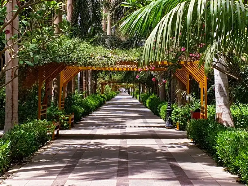 Aswan Botanical Garden