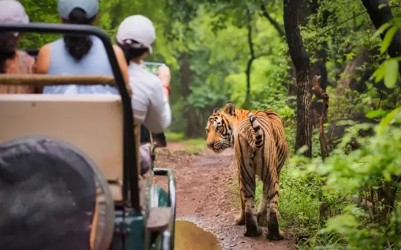 parco nazionale di ranthambore