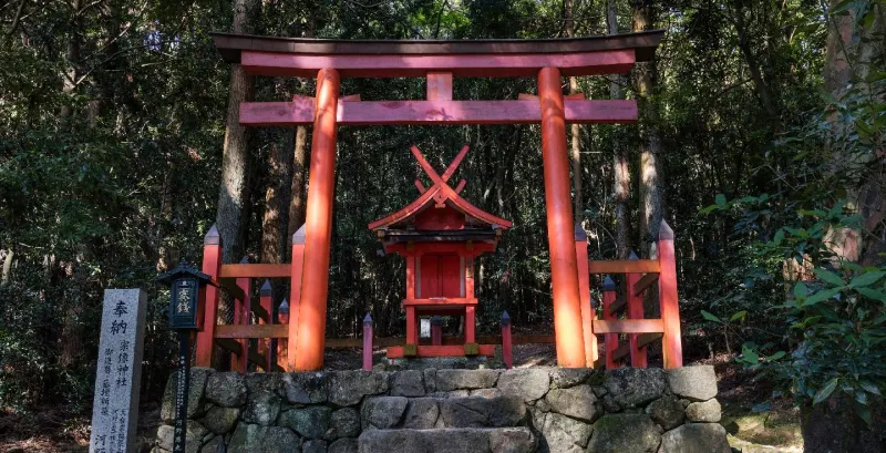 Porta Torii nella foresta primordiale di Kasugayama