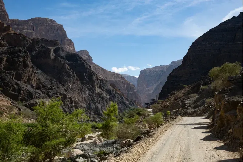 Strada sterrata che si snoda attraverso un profondo canyon roccioso circondato da pareti scure e vegetazione verde in Oman.