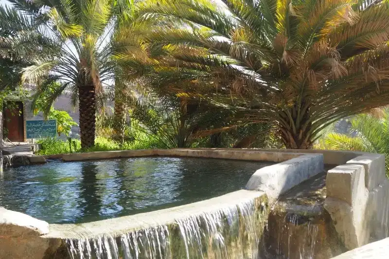 Piscina nel palmeto del villaggio di Misfat al Abriyyin, Oman.